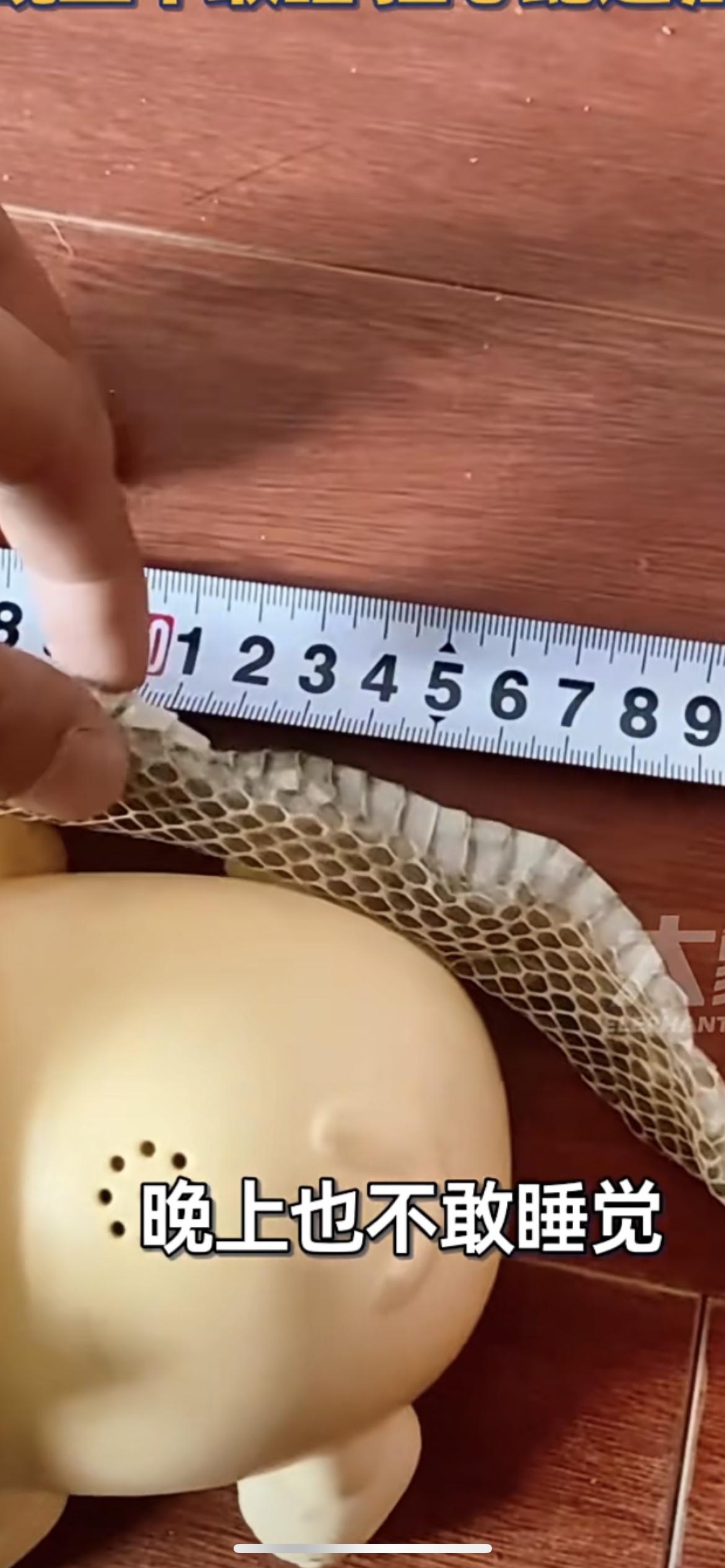 2月6日湖北恩施，女子隔一年回老家发现多条整张蛇皮，当事人：走廊和楼梯到处都是，