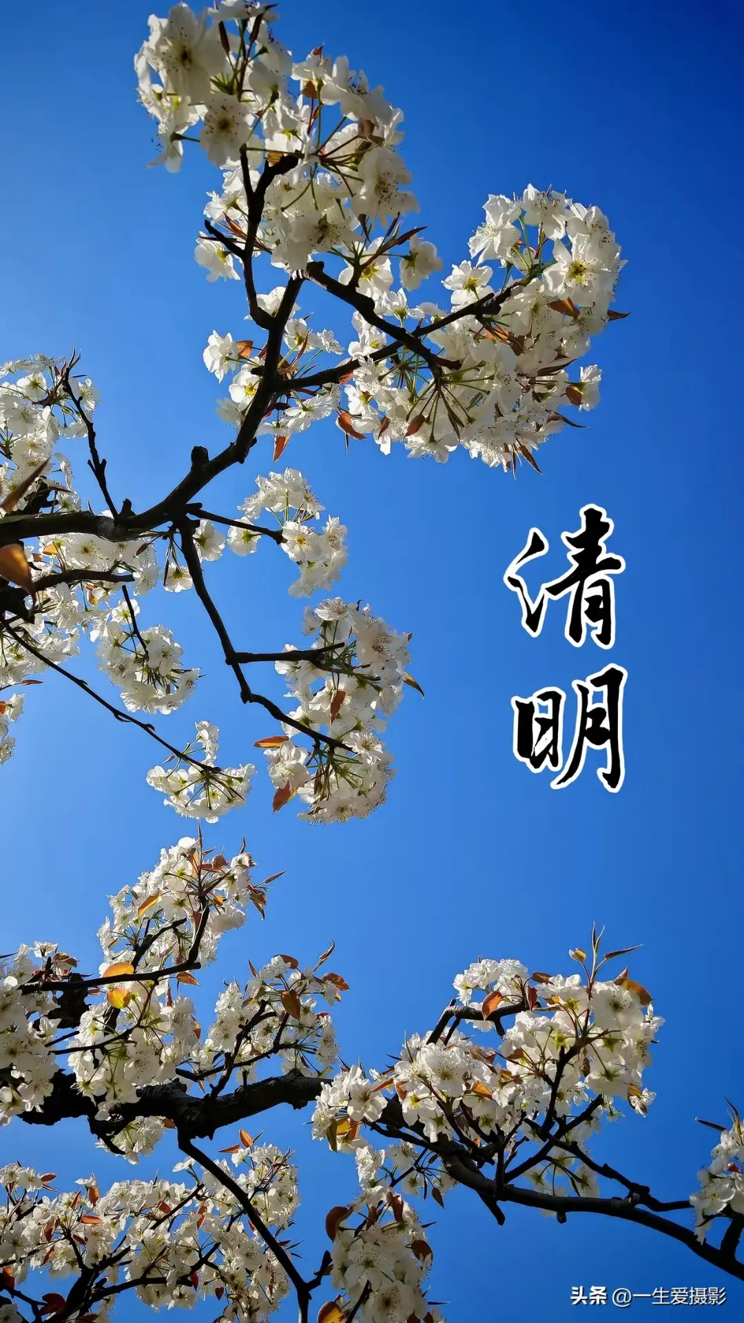 老公，想你了😭😭😭，今天带孩子回老家过清明节了。从来都没有释怀过...