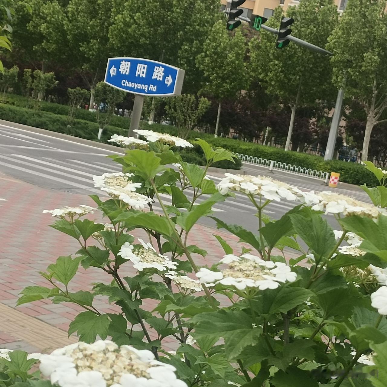 年轻时的男人，一身锐气，觉得自己能扛下所有风雨，习惯了往前冲，忙着打拼事业、应酬