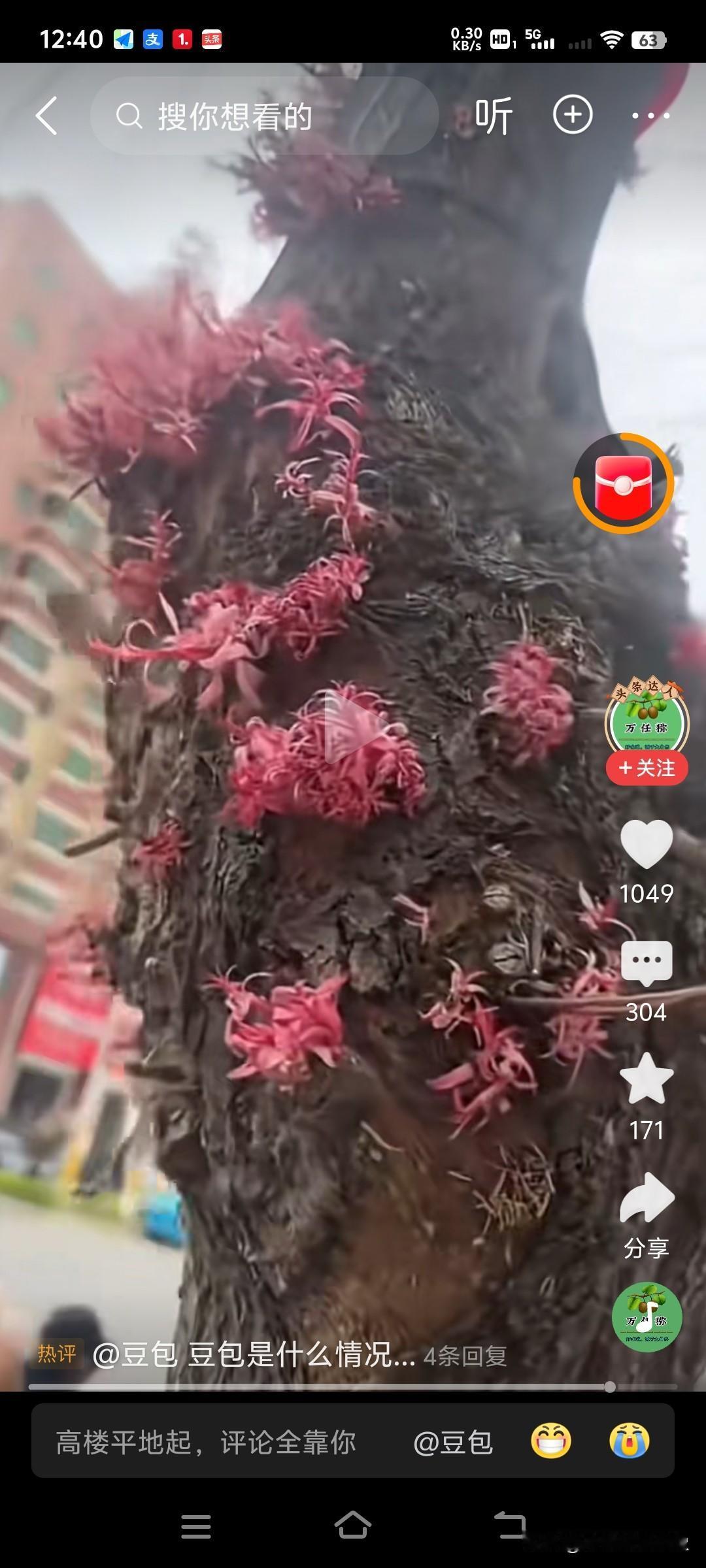 有网友拍到柳树开花，柳暗花明原来是有出处的[笑哭]

那个啥看来真的复苏了