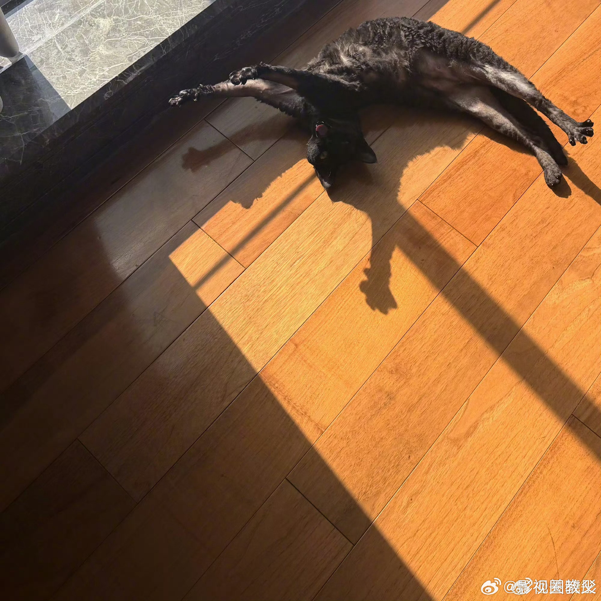 关晓彤粉发咋一看关晓彤的照片：哇好美的一张脸，粉色头发衬得她好美呀！仔细一看：晓