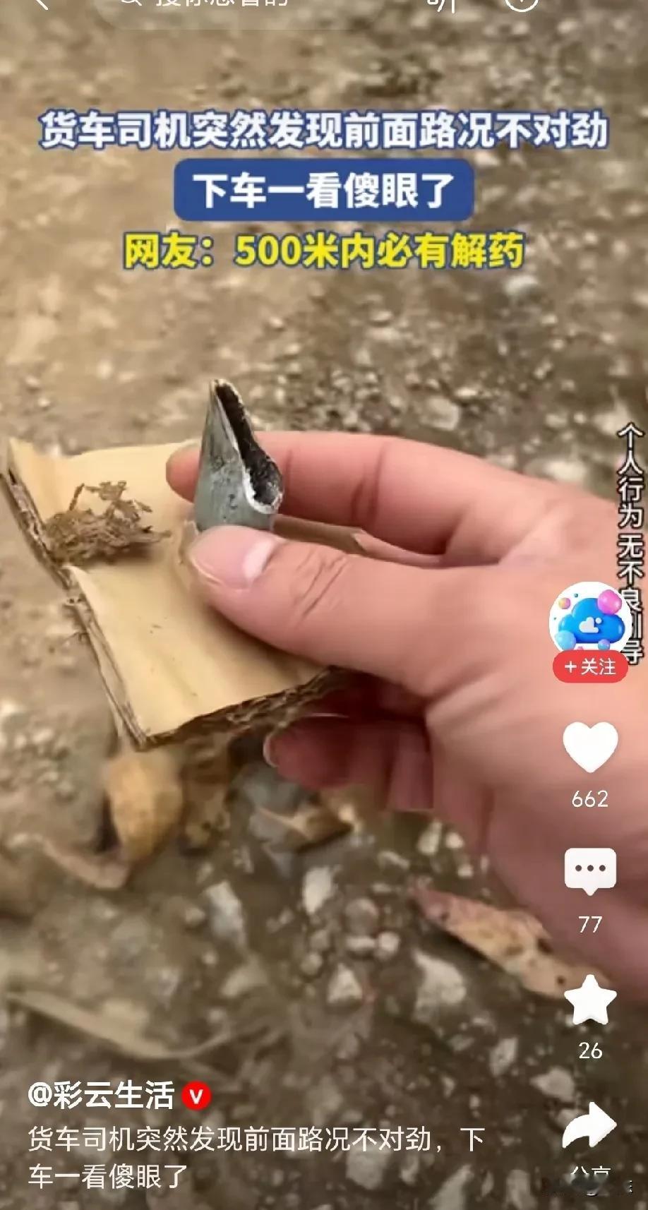 “果然是老司机”！货车司机行驶到一处沙石路，突然发现前方车轮压过的地方，有很多碎