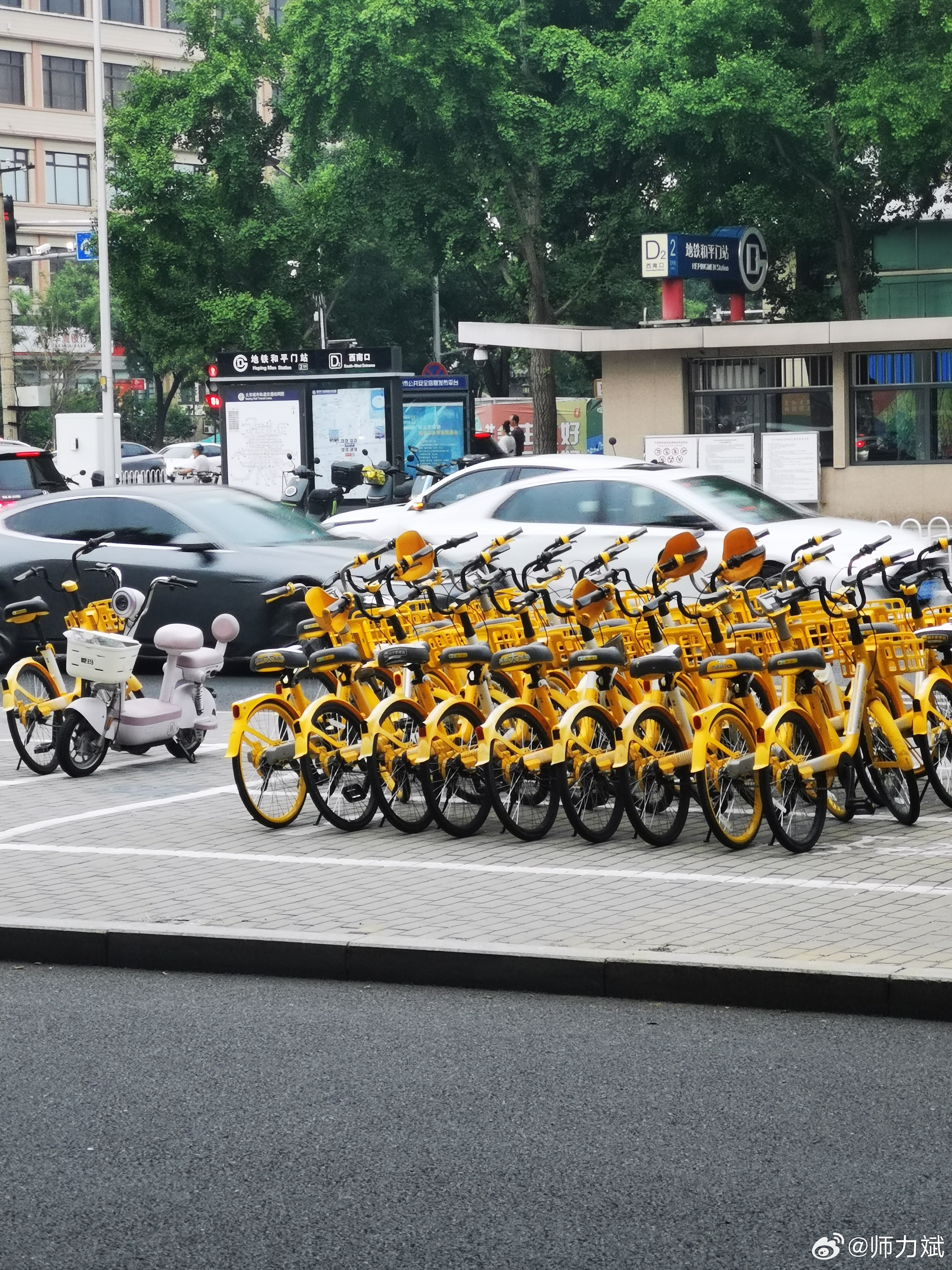 夏日中午西绒线胡同散步那么多墙壁，那么多栅栏围笼孤单的月季那么多瓷砖，那么多玻璃