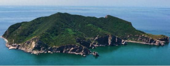 辽东湾有座0.73平方公里的无人小岛，住着全球独一无二的2万条蛇岛蝮。这地方土薄