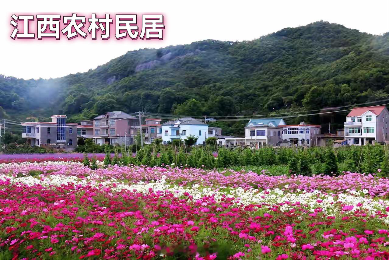 江西农村民居 vs 美国别墅区单从居住条件，江西农村不比美国差。