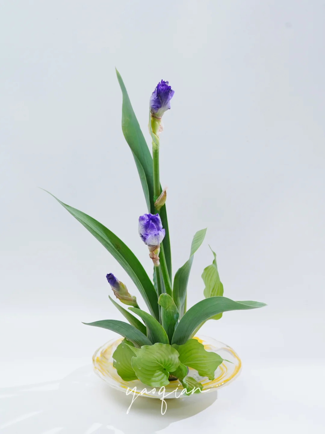 小原流花意匠直立式
