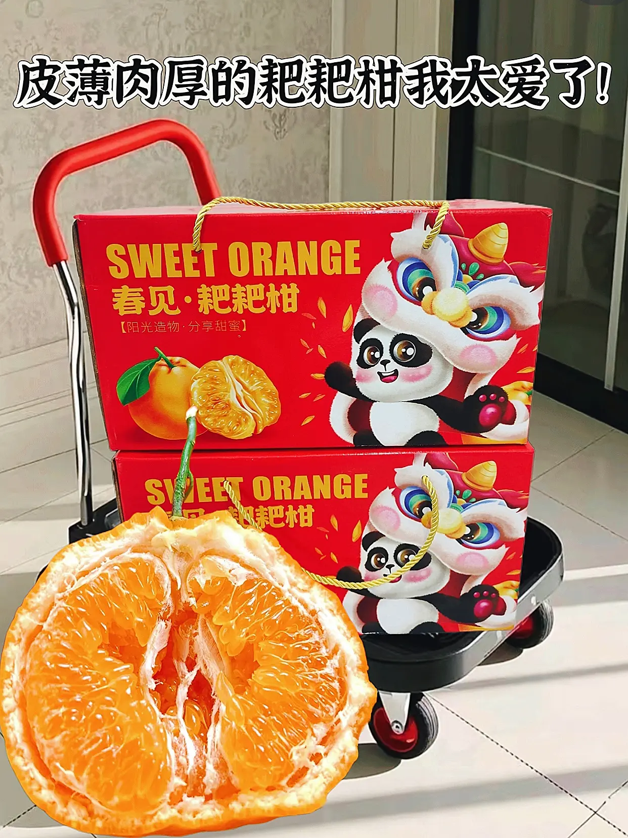🍊春见耙耙柑 颗粒饱满 晶莹剔透 吃一口 哦～ 这爆汁的幸福感😍 ...