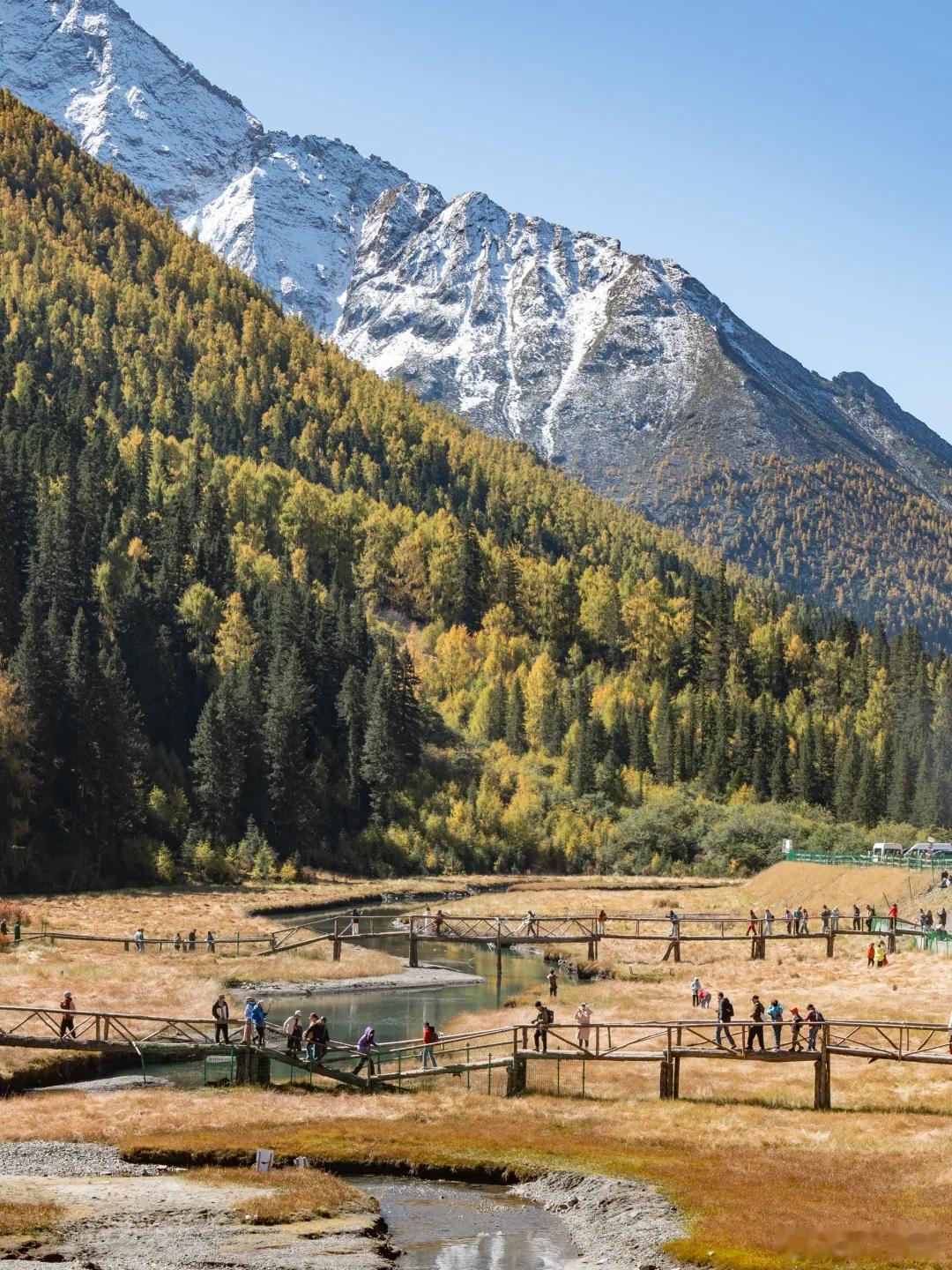 又到川西赏秋最佳时期，偶然刷到理小路的图，被狠狠戳中了！！确实好漂亮[我来了]本