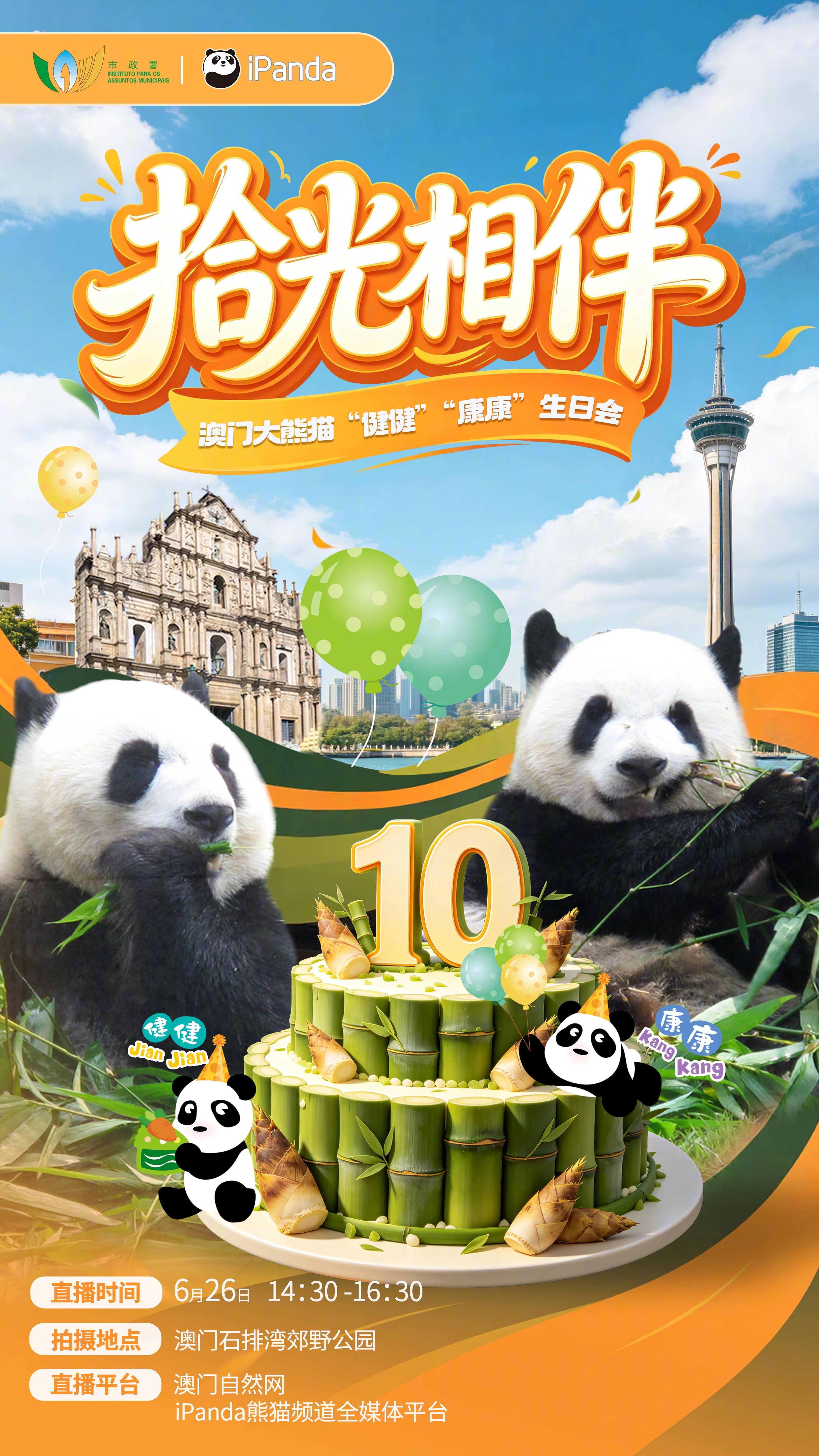 【播出预告：澳门大熊猫健健康康生日会】🐼澳门市民的“开心果”——“健健”“康康