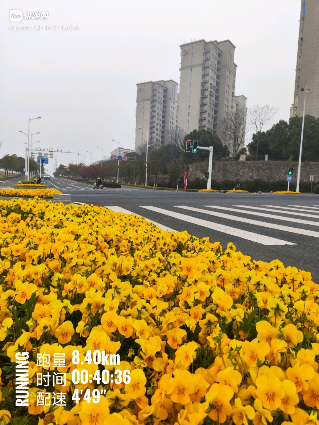 同学们早ﾉ☀人有旦夕祸福啊，好好活着，草地上午休一哈子，都能被违规停车的压si