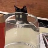 小花猫热品