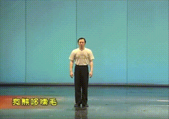 全网刷屏的“狗熊哆嗦毛”到底啥来头？