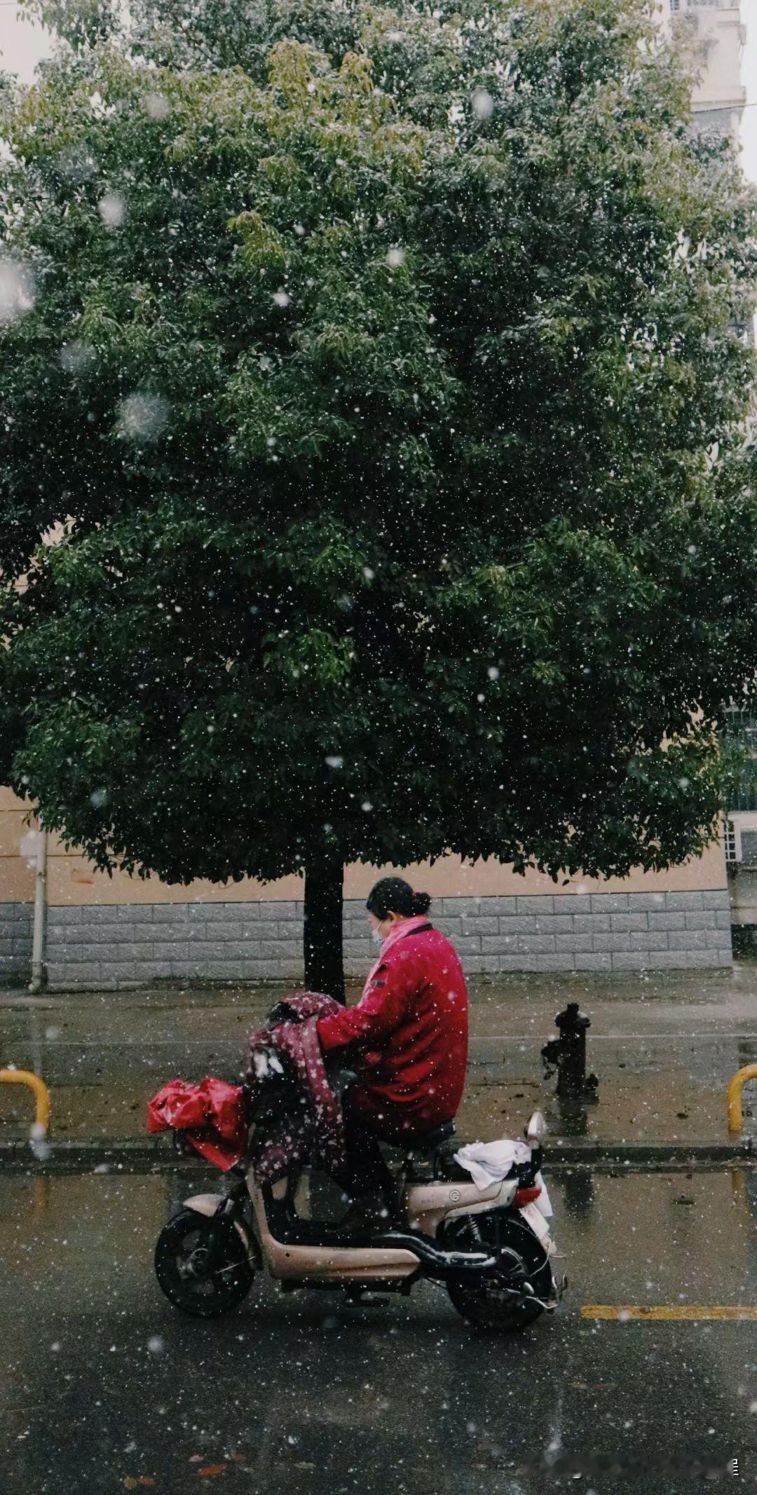 去年冬天拍到的照片[比心][比心]雪花凝固在空中，这类照片，背景尽量暗一点，才能