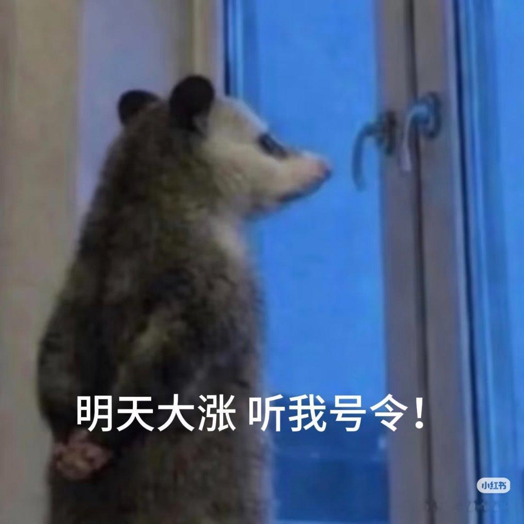 有空我还是给大伙搞搞心理按摩吧向大博主学点哲学的我不会搞 让ai写也没必要所以我