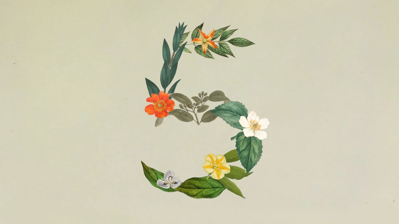 【Anthropico 推出 Claude Sonnet 5，性能接近 Opus