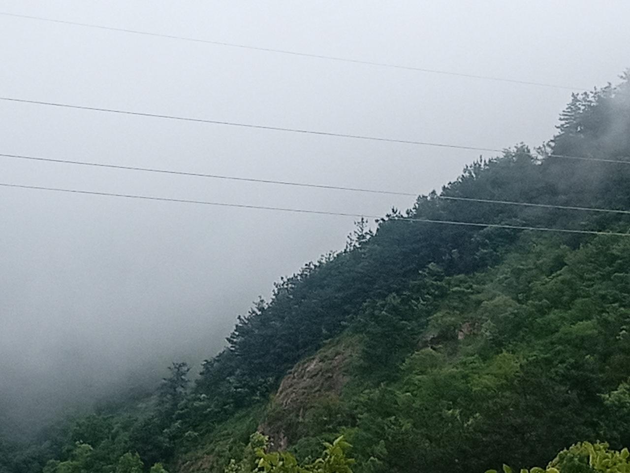 《龙眠雨后》
枫林红叶
 
雨霁龙眠山色幽，
轻烟漫岭逐清流。
遥观疑是天边云，