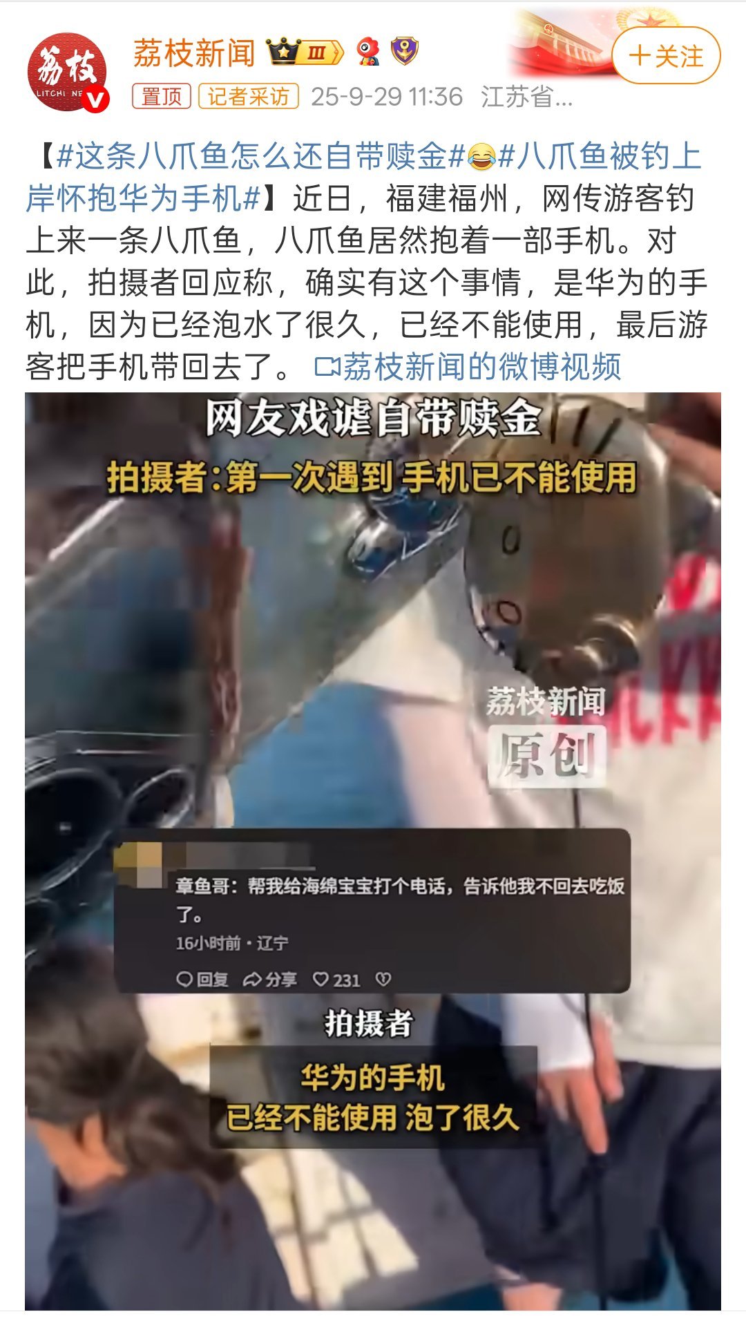 八爪鱼被钓上岸怀抱华为手机哈哈，这手机不知道还能用不？要是能用的话那就更妙了！ 