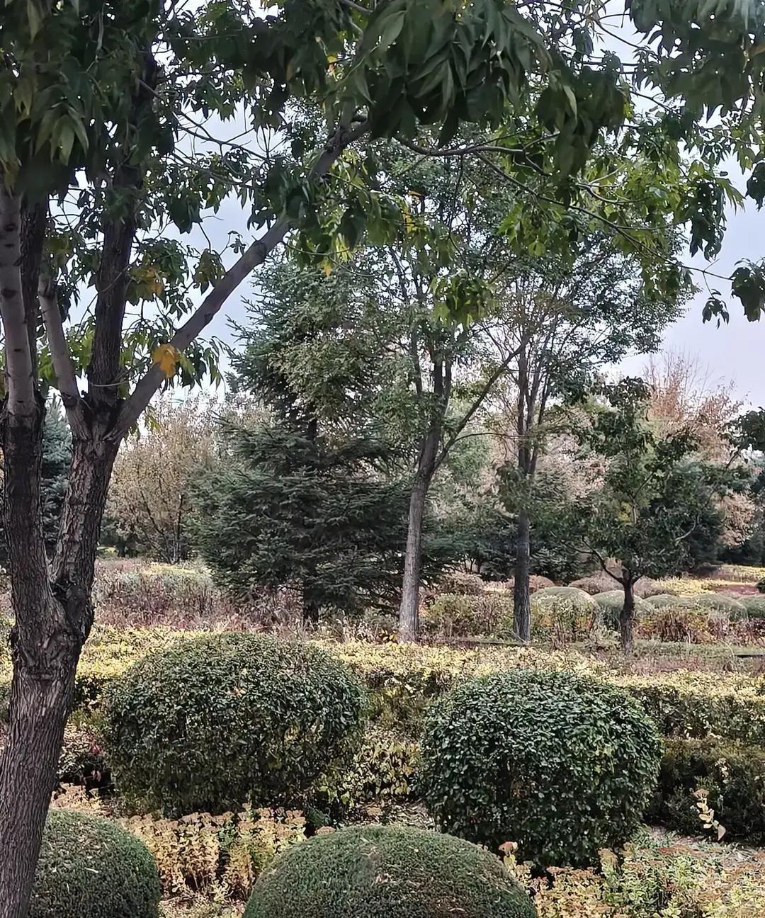 孙杨深夜又出现在了训练馆。

他把前几天那块银牌放进了柜子最深处，自己一个人闷头