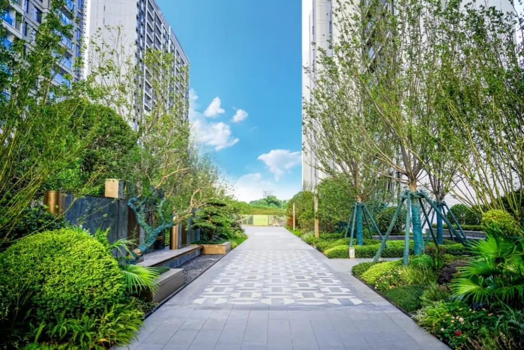 公园生活进阶焕新 麓谷城市公园二期实景海派园林盛启星城