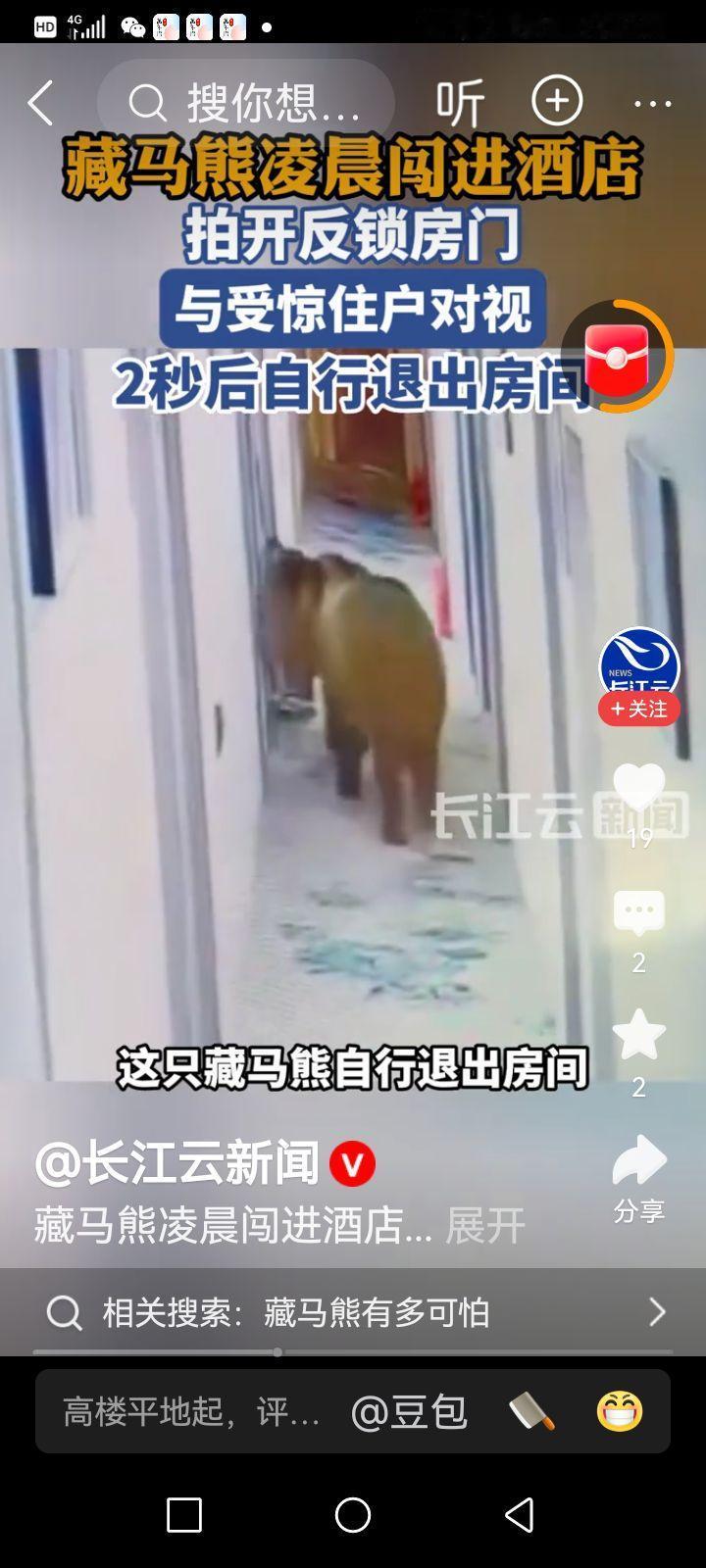 藏马熊清晨闯入西藏酒店人熊对视，人熊冲突再引关注

7月4日凌晨5时许，西藏那曲