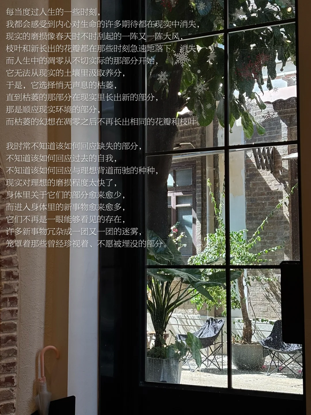 我才24岁，却感觉活了好久。