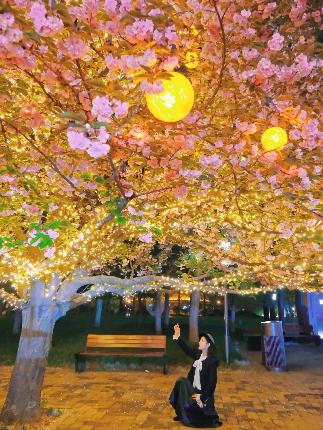 谁懂呀，一眼沦陷❗️西安这里的夜樱已开爆🌸