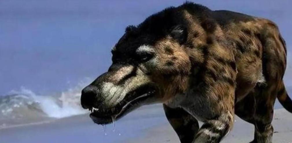 1973年，一头神秘野兽进入部队捕食，被哨兵当场射杀，然而，当看清野兽的模样后，