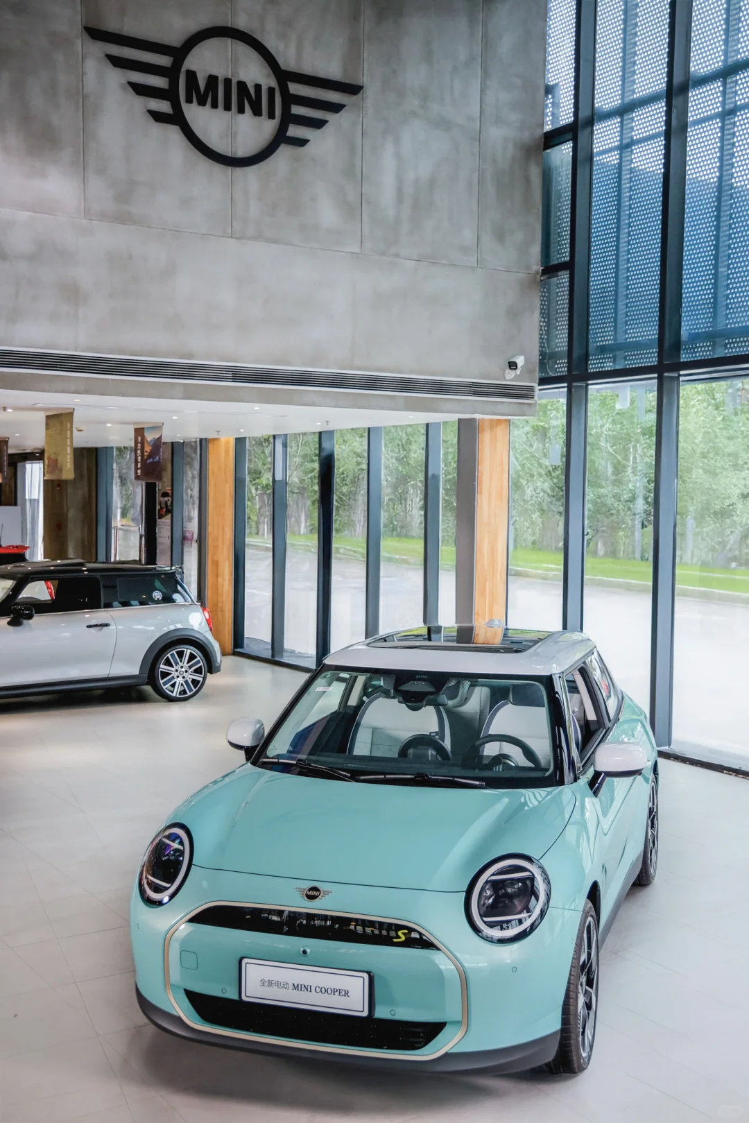 MINI“春日于海”蛇年限定配色上新啦❗️