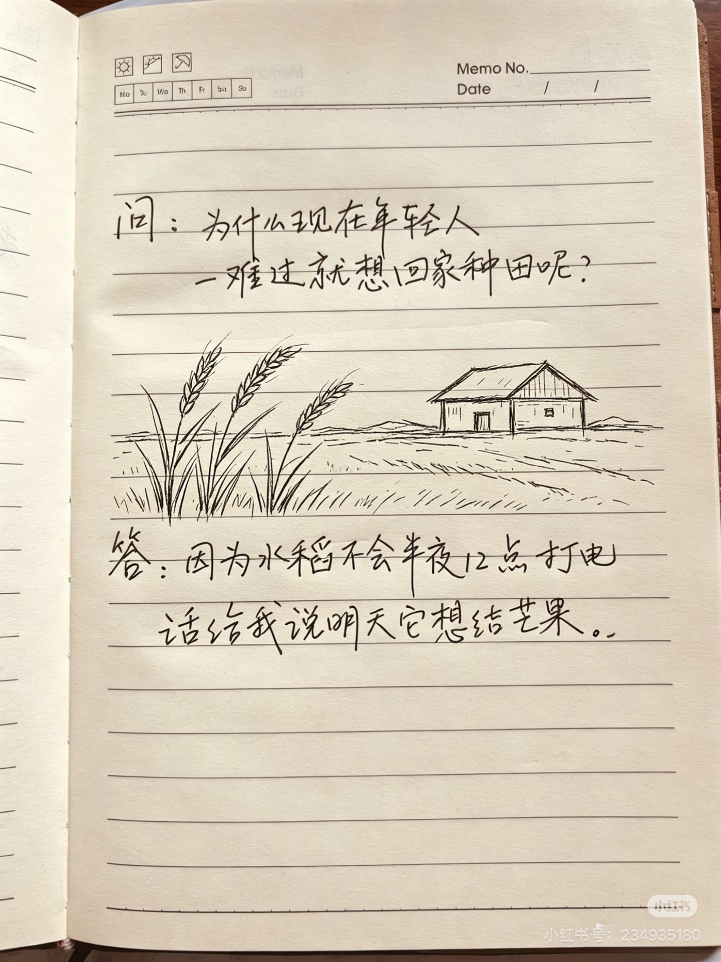 哈哈哈哈哈哈哈哈 