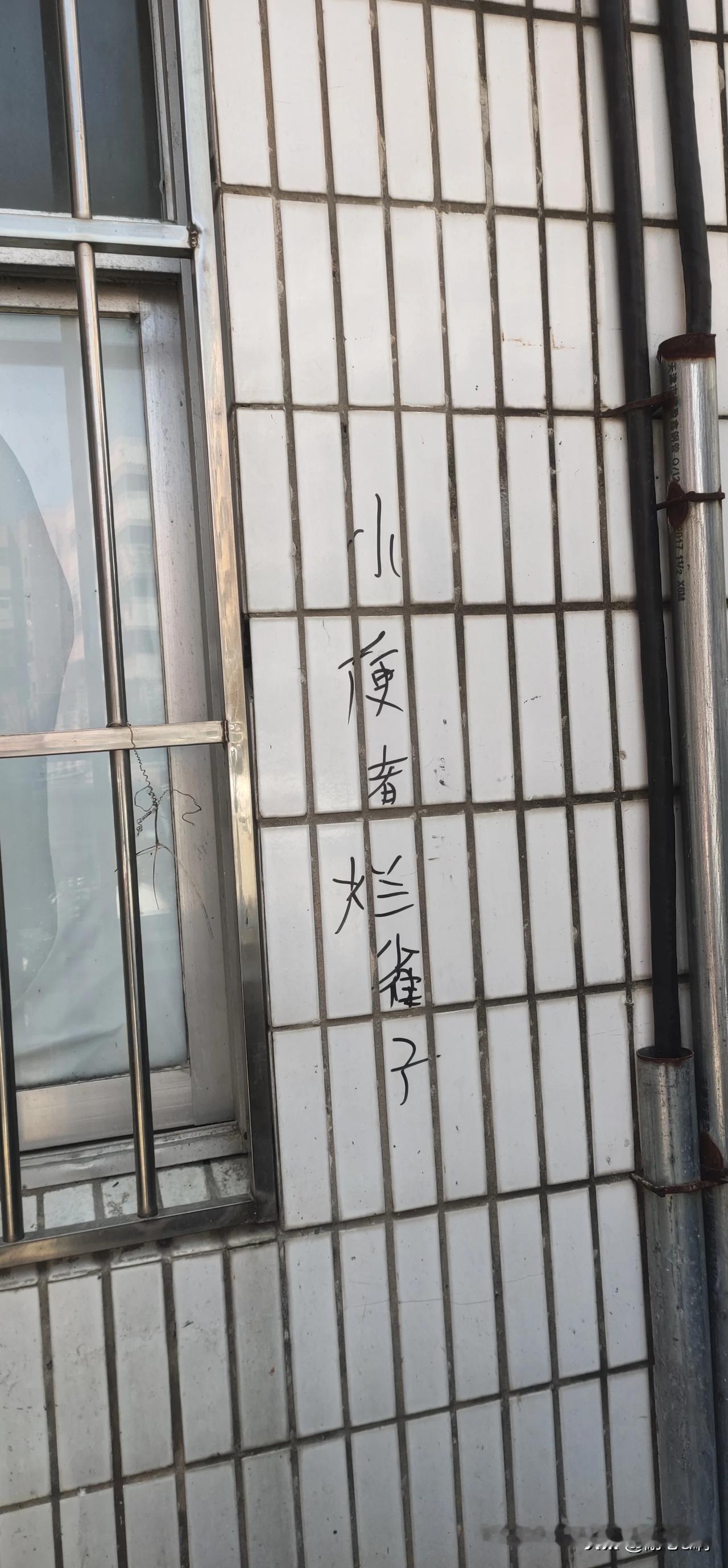 这啥意思？有人能翻译一下吗？