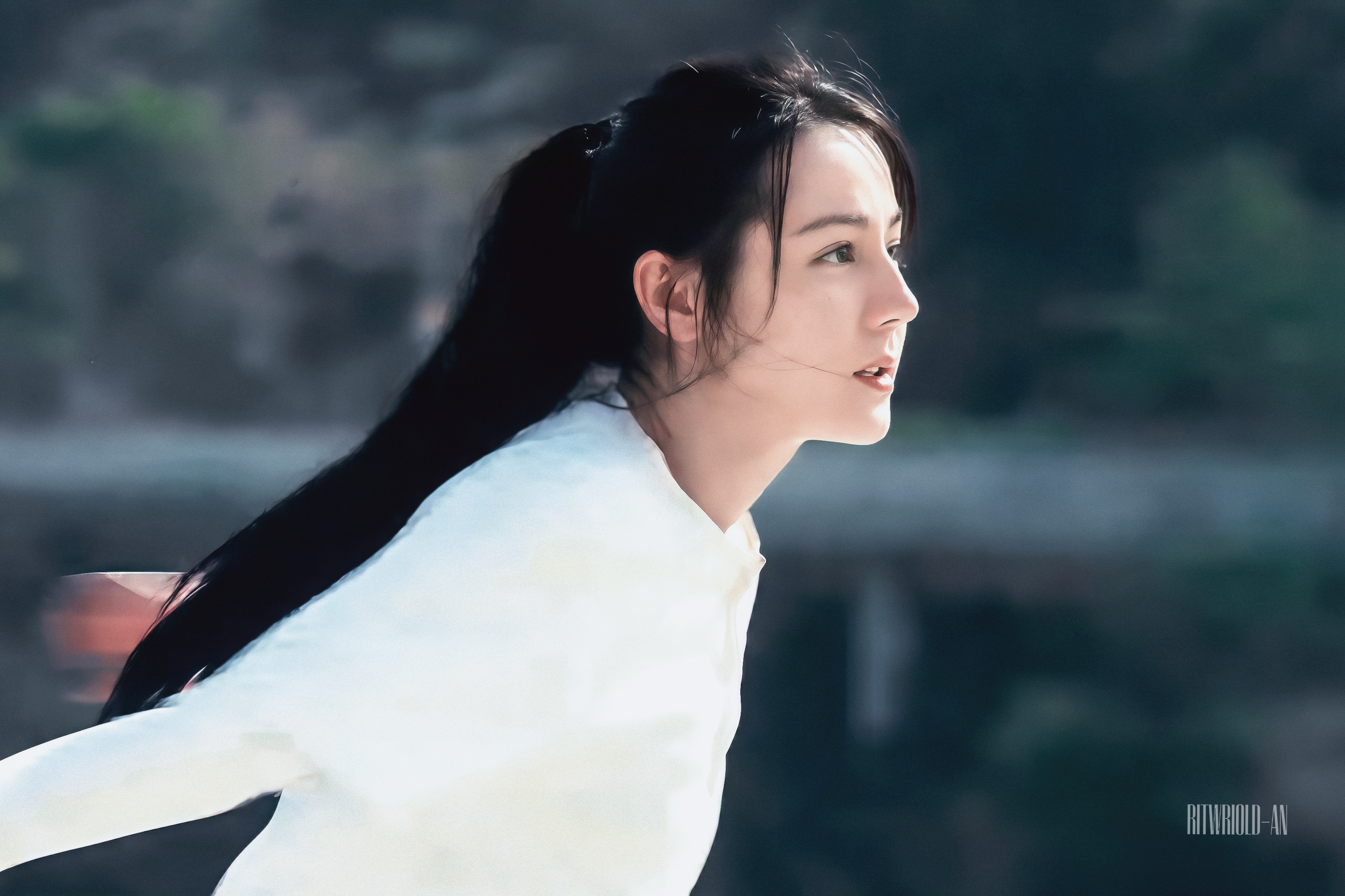 🕊️ 