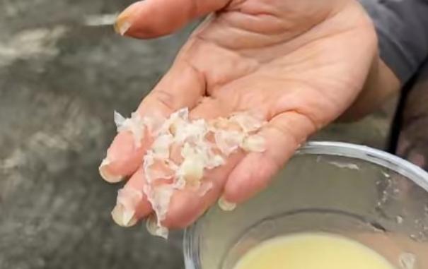 简直丧尽天良！6月16日曝光，四川一女子带娃吃火锅，点的“鲜榨玉米汁”孩子猛喝好