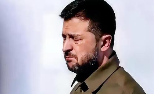 俄乌之间总算停火了？那要算的账也摆在了台面上，土地给了俄罗斯，钱给了美国，而乌克