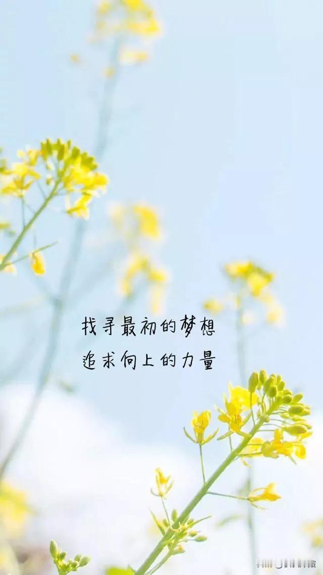 上周论文答辩已结束，各类表格也填写完毕。闺女在酒店住了3天，酒店环境安静，很适合