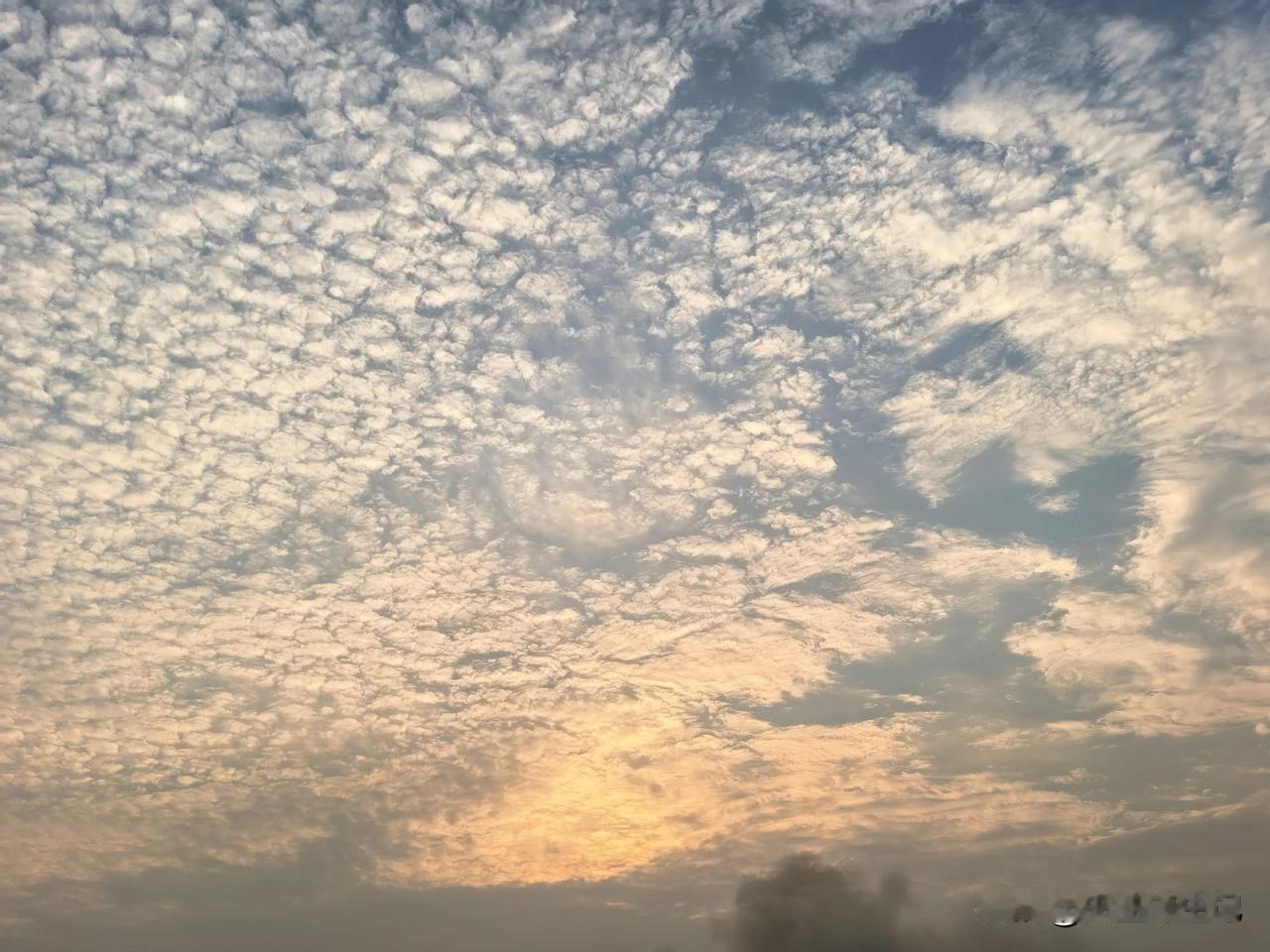 傍晚夕阳，
郊外的晚上，
就是不一样。
这应该就是鱼鳞云吧，
这么大的一片，
簇