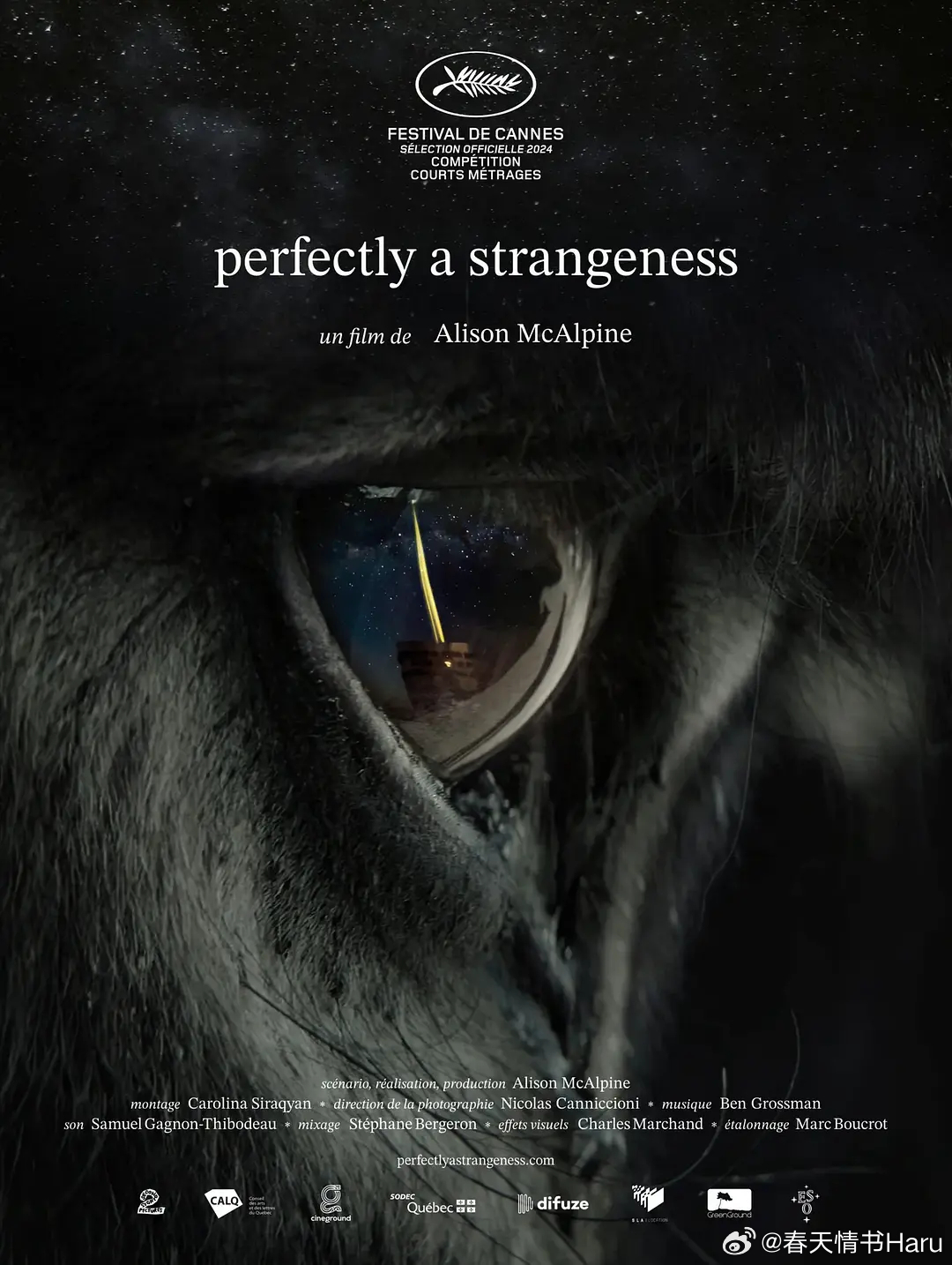 完全陌生 Perfectly a Strangeness (2024)第98届奥