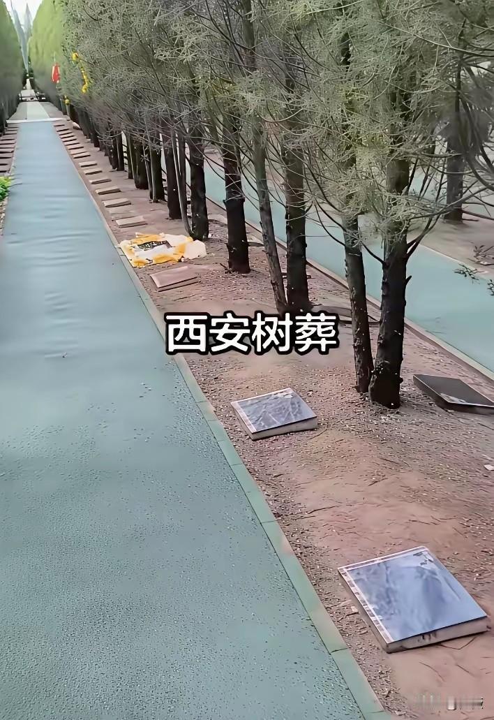看到网友拍摄的所谓树葬，在每棵树的旁边都立了墓碑，如果是这样的树葬，那么树葬一点