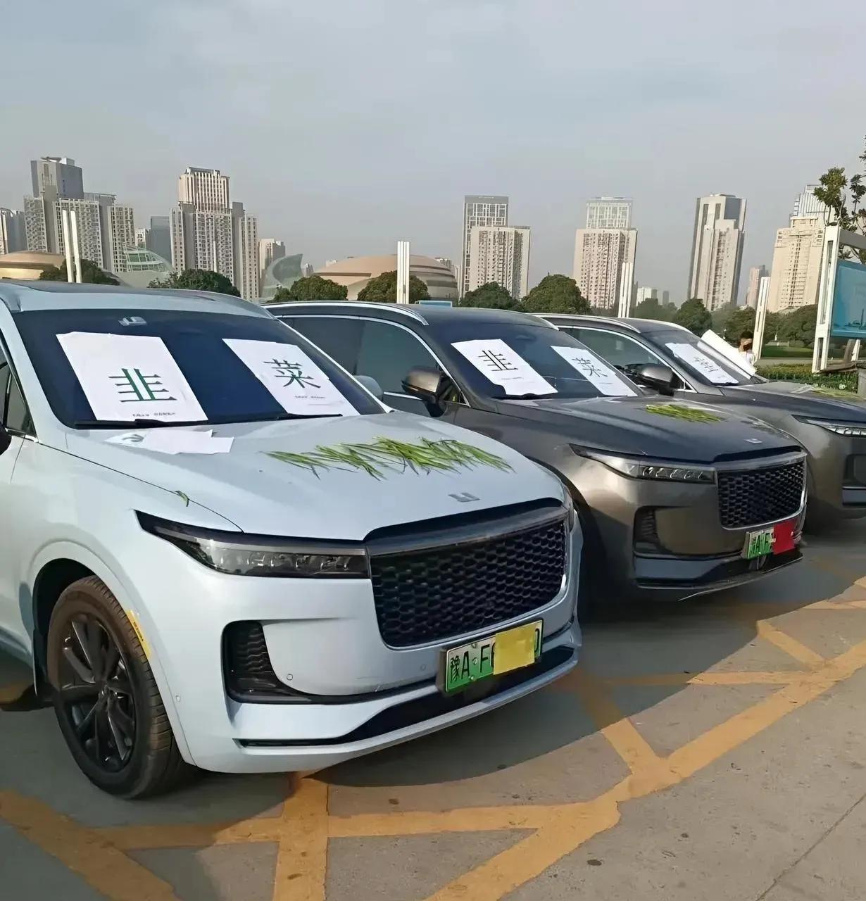 威马车主一看:反倒这种韭菜是一种奢侈。