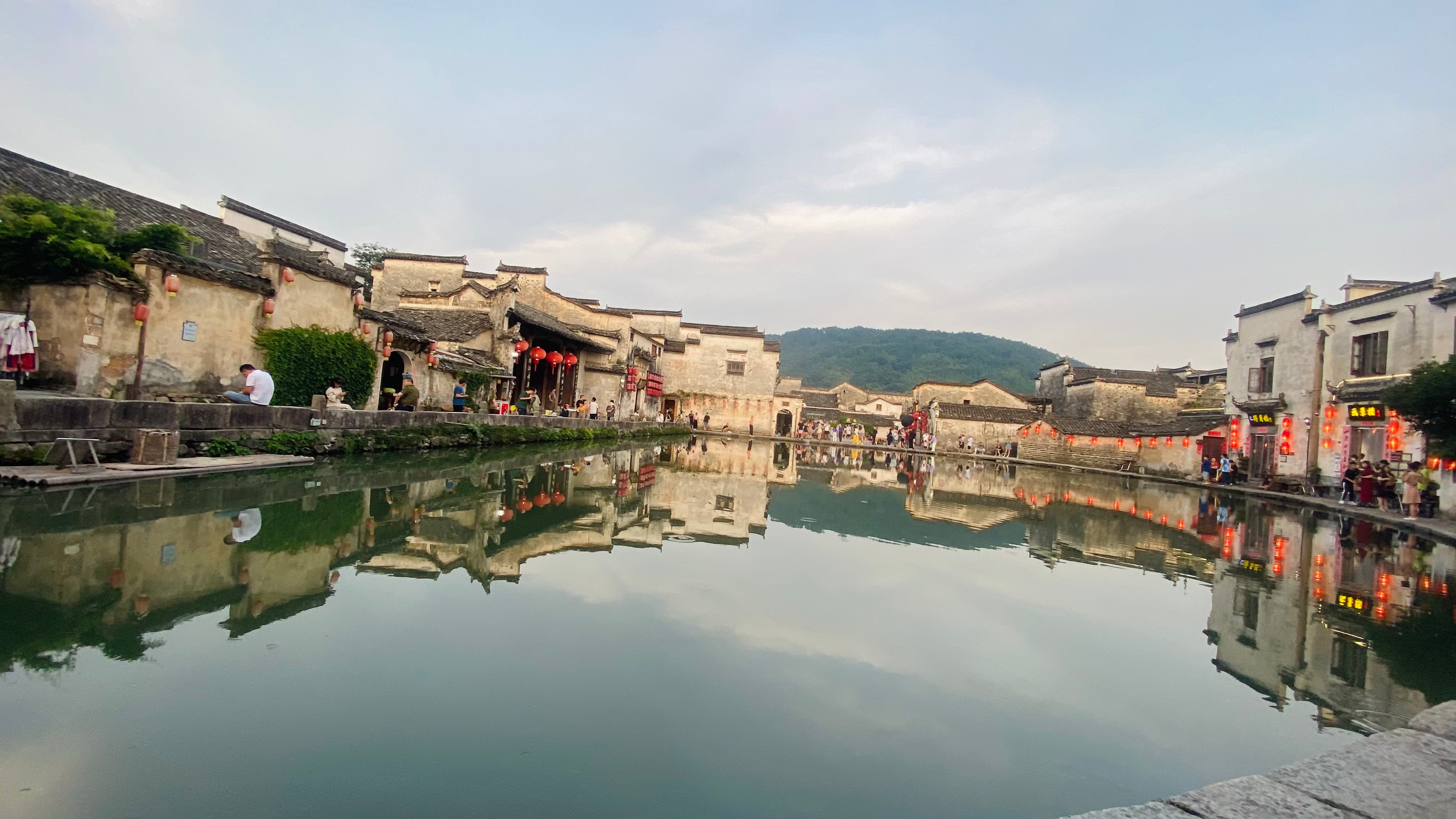 MuziLin小窝 ｜  每日一善 那些神秘的、美丽的造物的恩宠，代表着这个世界