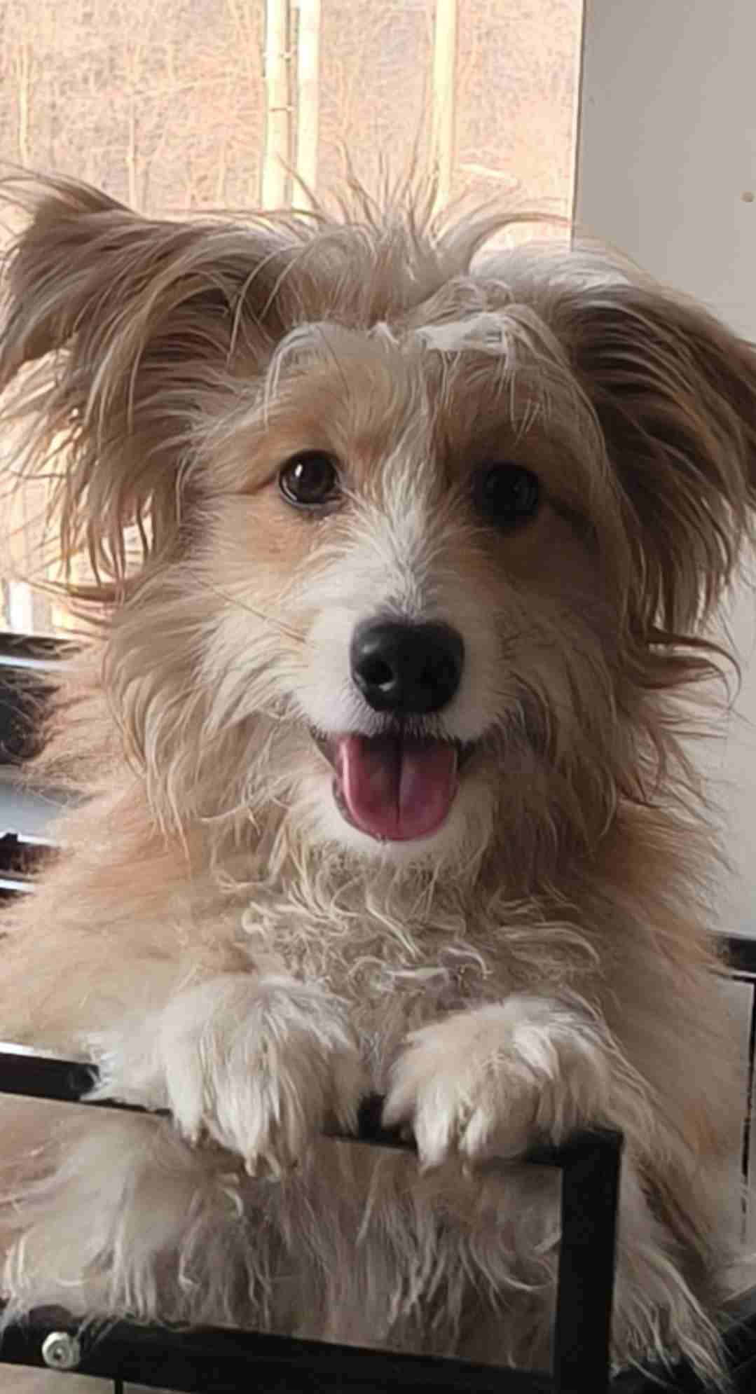 我的今日状态：😁轻松愉快
我这里的天气：☀️晴天