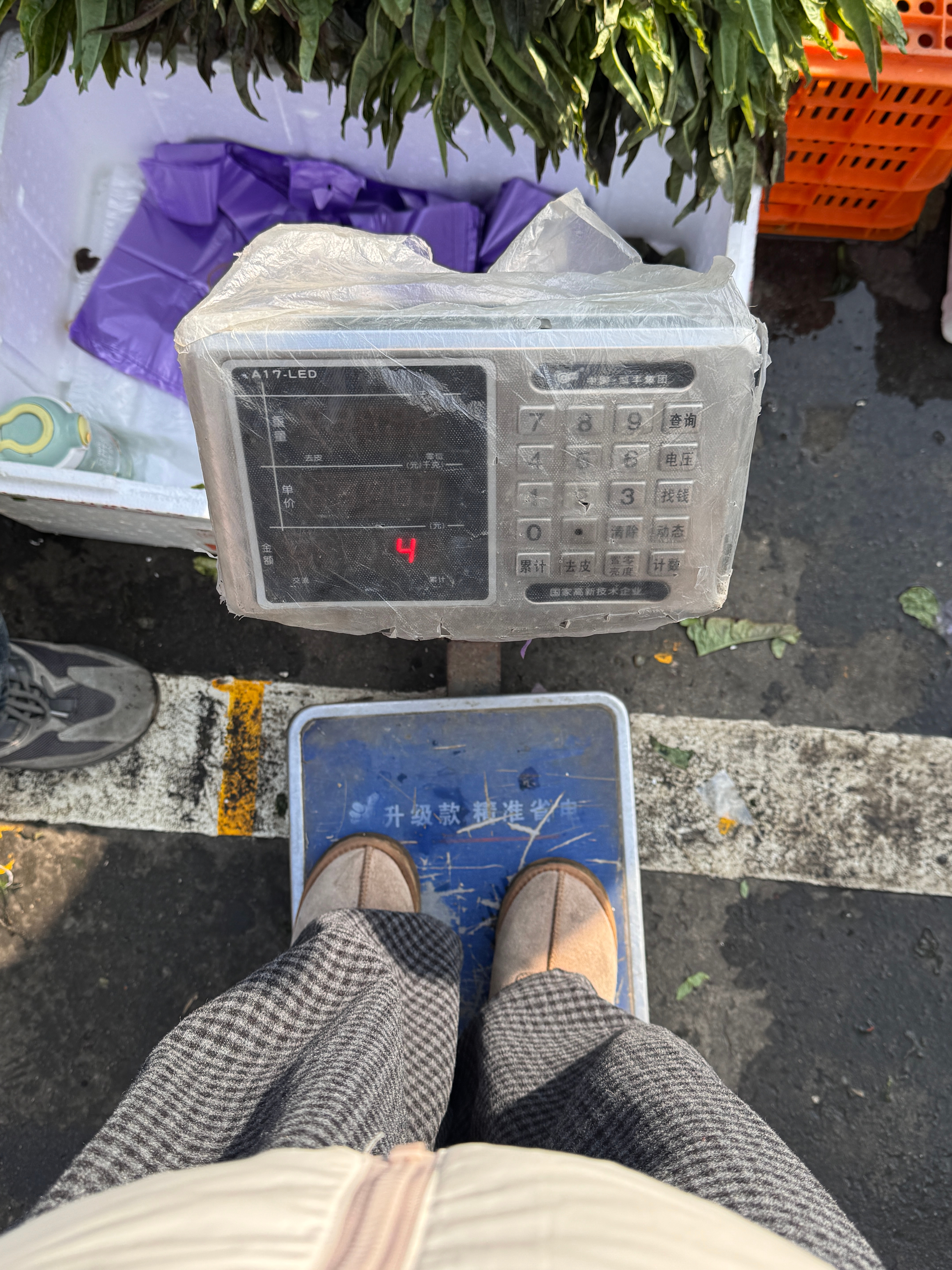 还好有人给我垫背