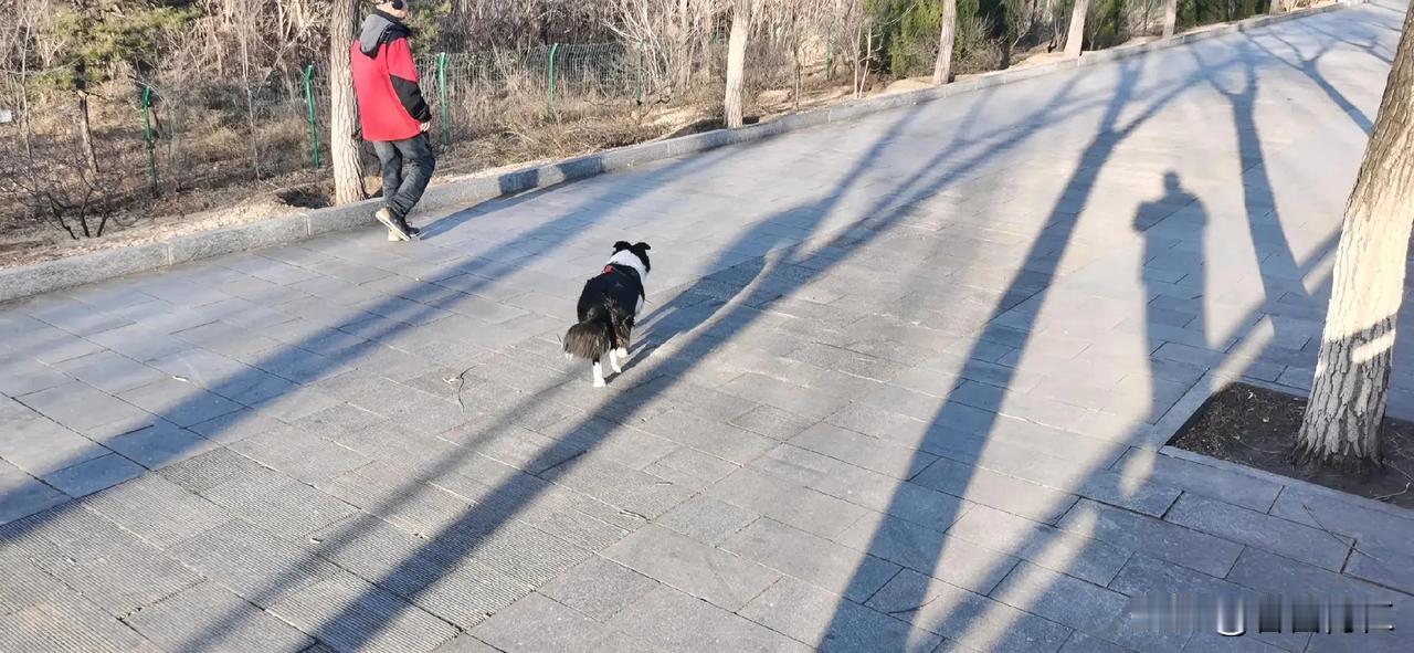 一条风景线！
