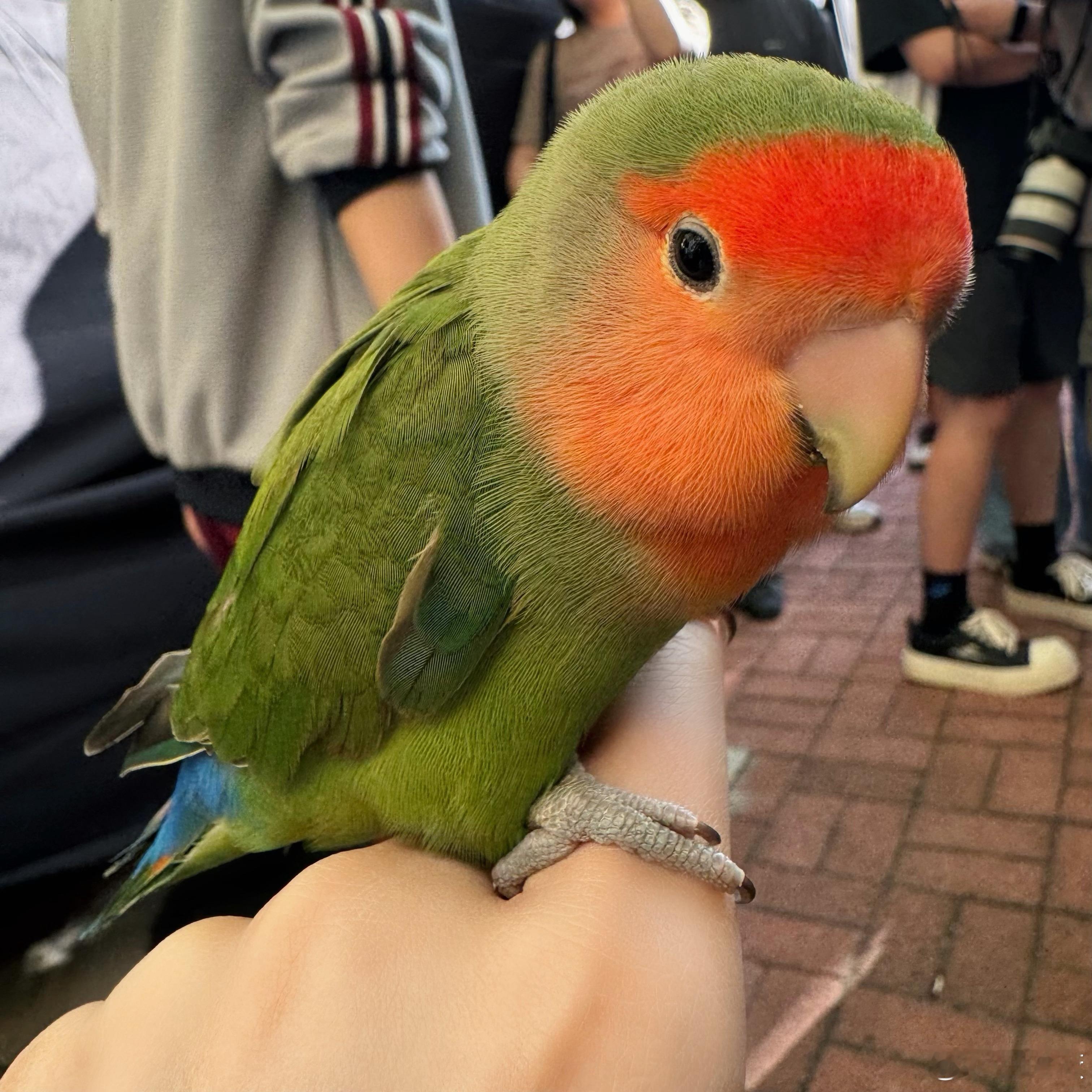 小猫知道我们亲他是爱他的意思吗田田向上十一休time ​​​