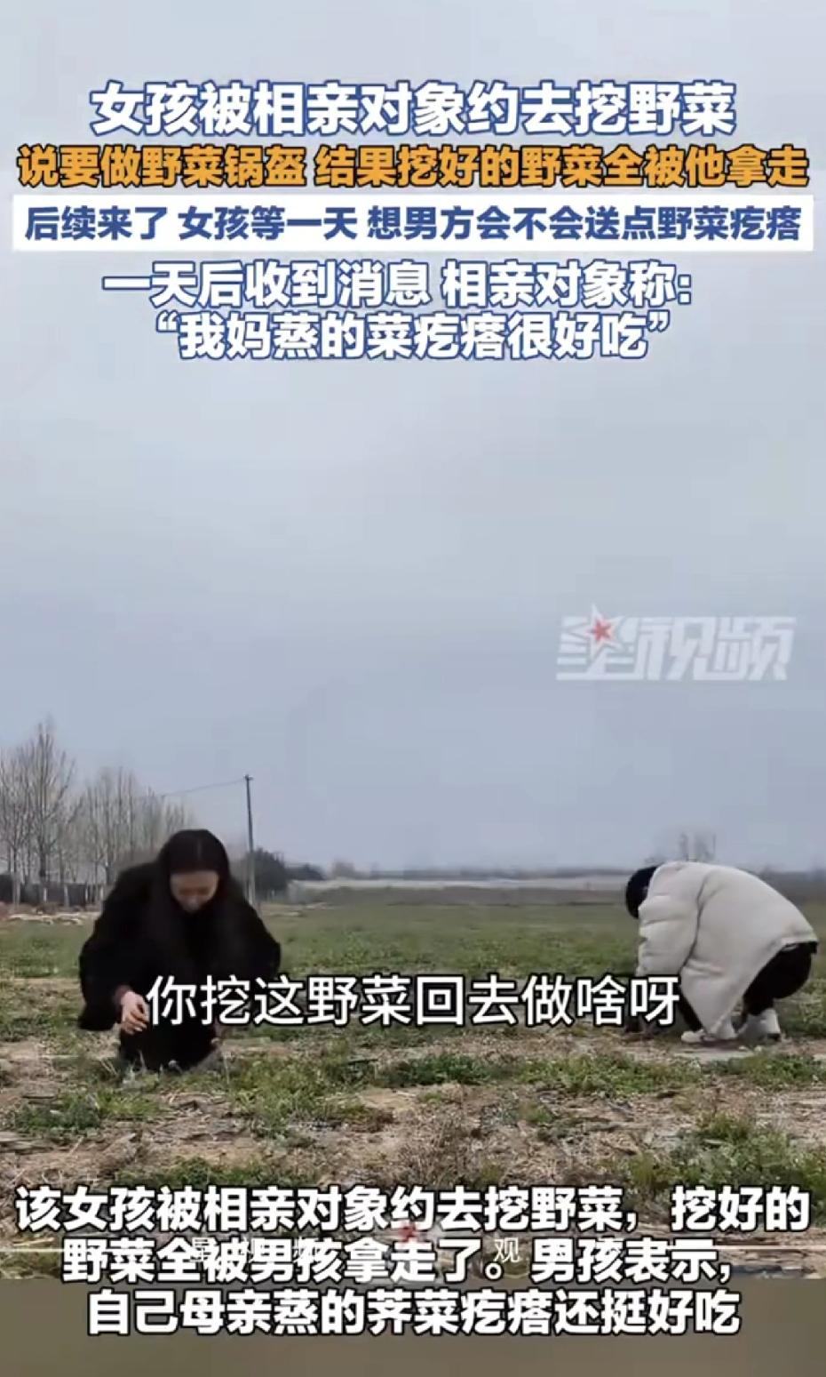 陕西一女孩相亲被约去挖野菜，挖好后，男方全拿走了，1根野菜没给自己，1天后男方发