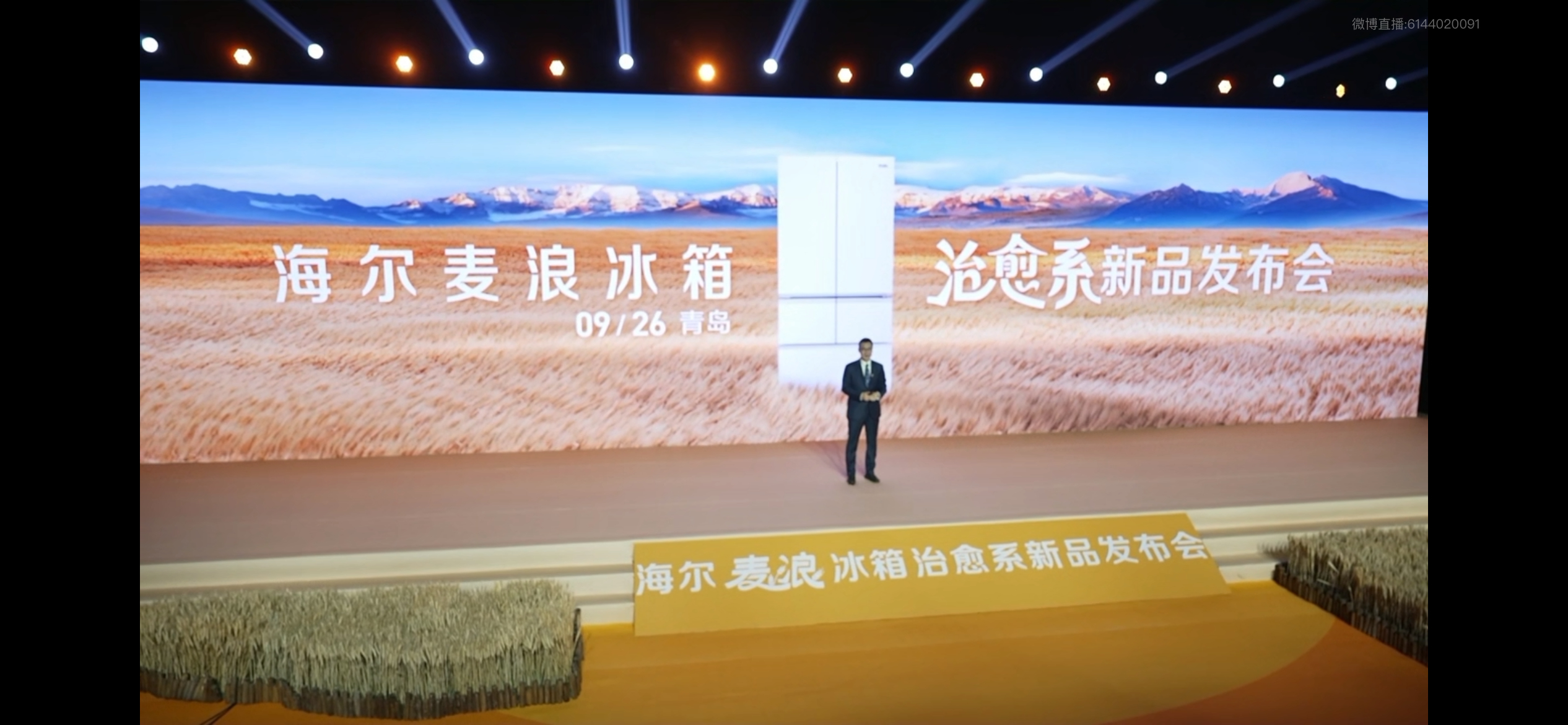 海尔吴勇把我对冰箱的吐槽说明白了 海尔麦浪冰箱这波操作，直接把“黑科技”翻译成了
