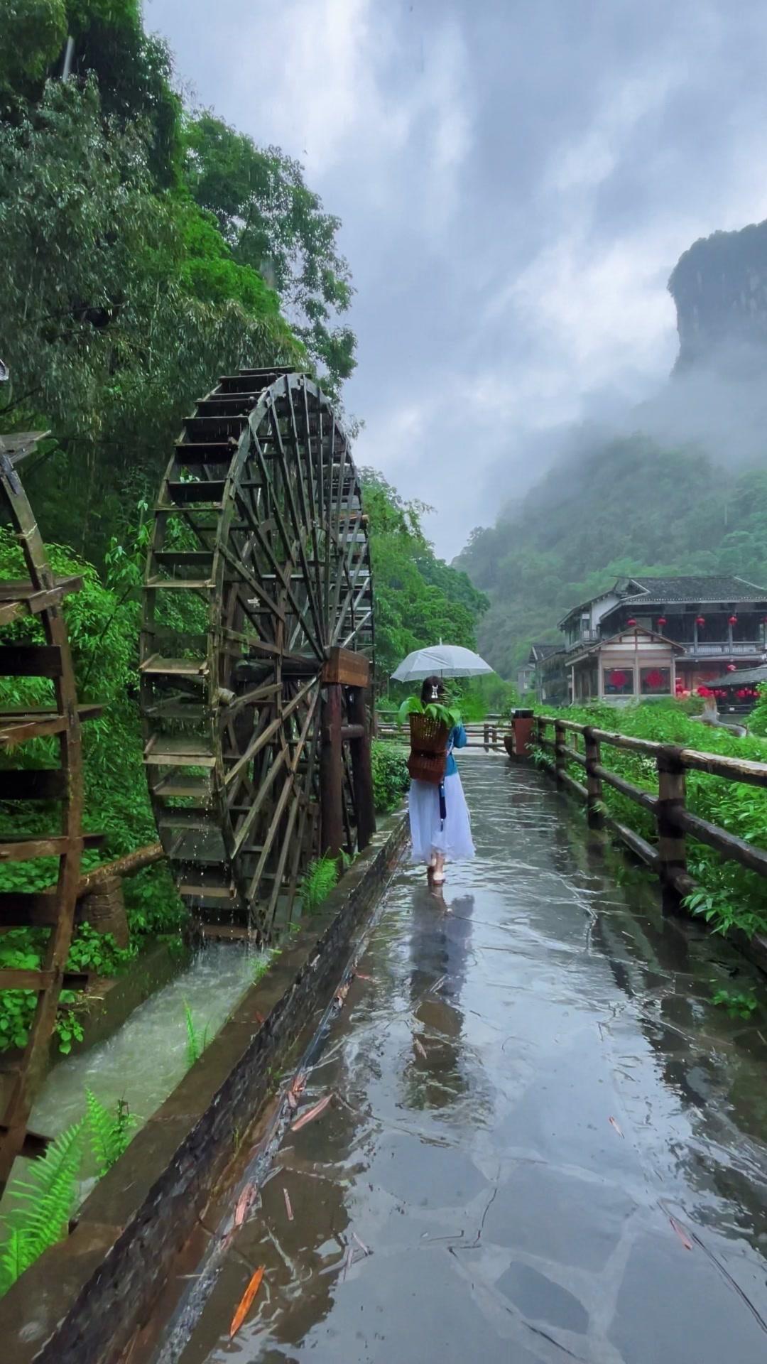 湘西的山水真的像有魔法，能把所有坏情绪都收走。

清晨沿着沱江散步，两岸吊脚楼在