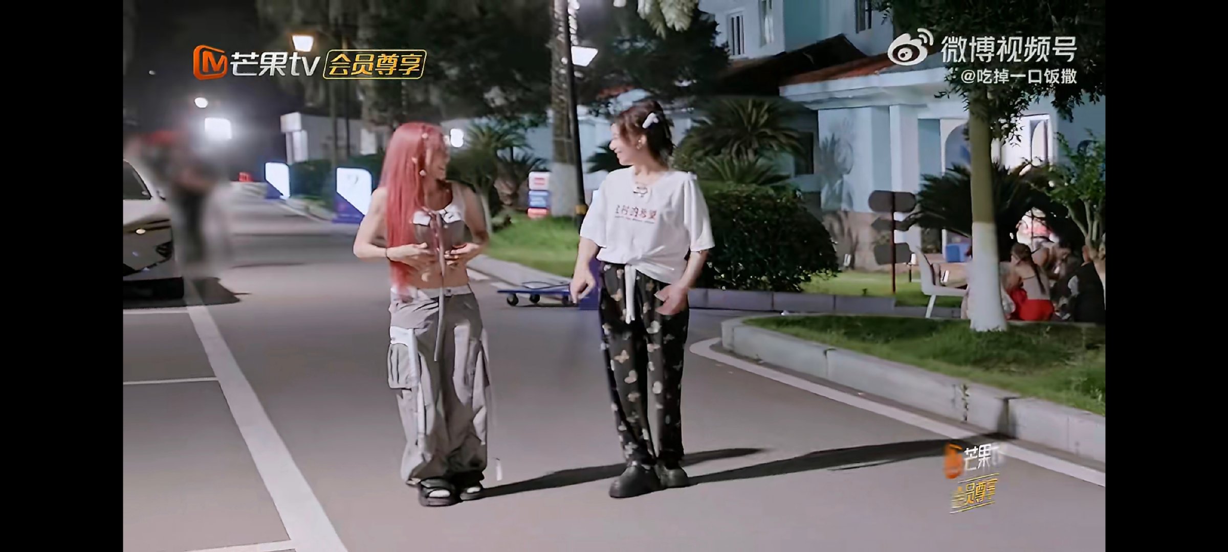 庄法已经是甄嬛传十级学者了跨越语言和地域的经典影视作品，凭借出彩的故事内容收获了