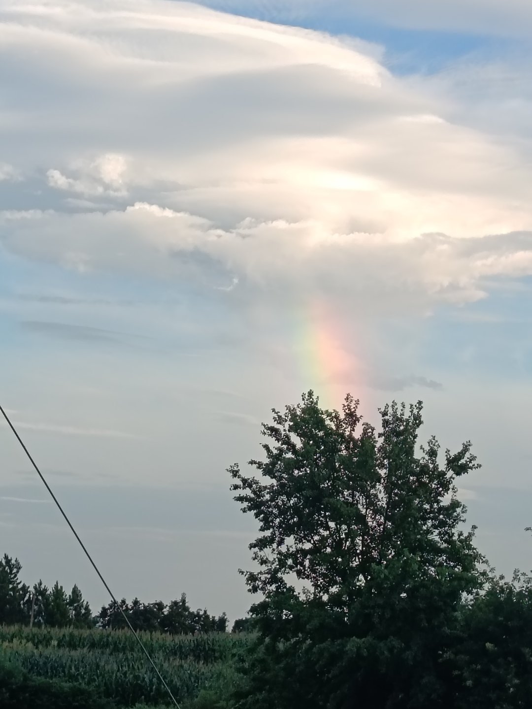 彩虹🌈 ​​​