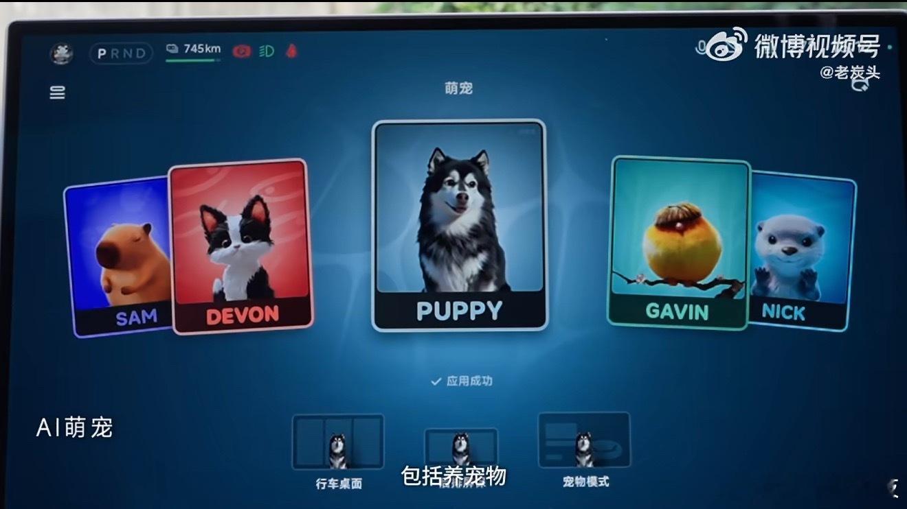 说实话，每次看着家里的毛孩子慢慢变老，心里那个倒计时感就特别重，总觉得这种缘分其