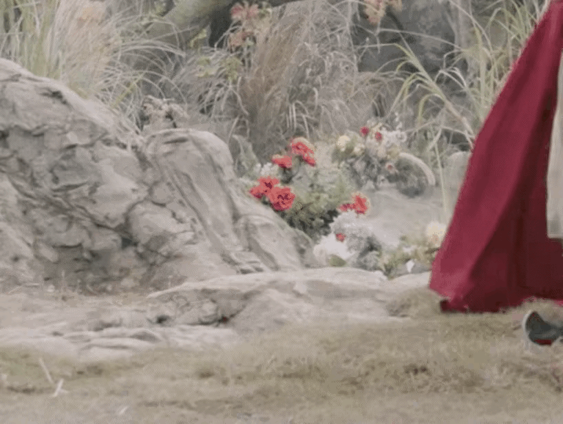 这些演员的鞋垫增高整的跟驴蹄一样[允悲] ​​​